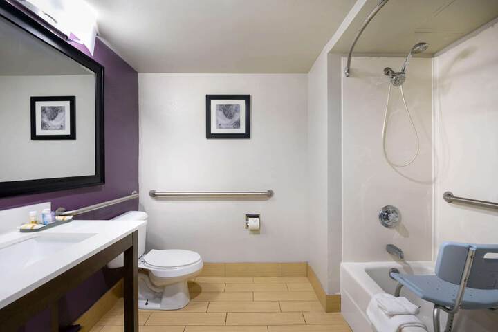 1 King Bed Accessible (4 of 10)