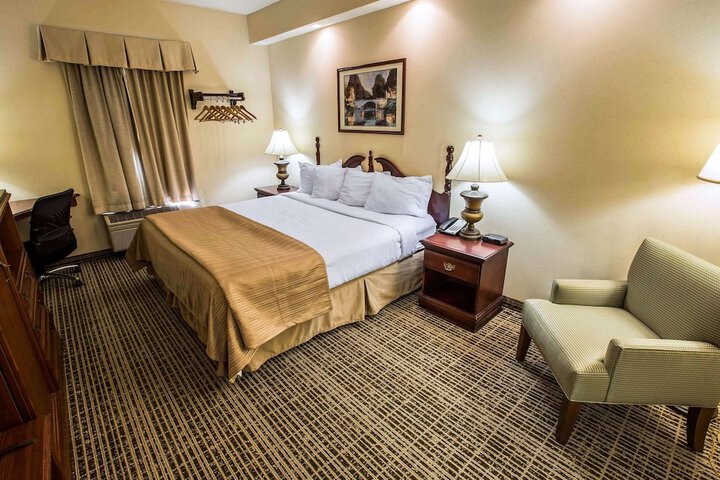 1 King Bed (6 of 11)