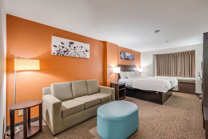 1 King Bed Suite (6 of 9)