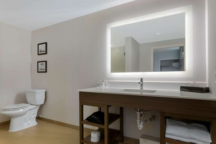 1 King Bed Bathtub Accessible (14 of 24)