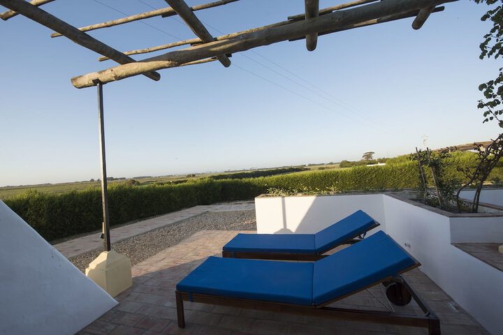 Terrace/Patio 102 of 179