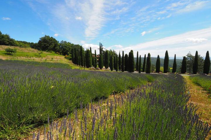 General 59 of 100