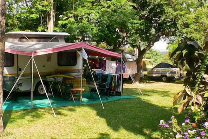 Property Grounds 52 of 61