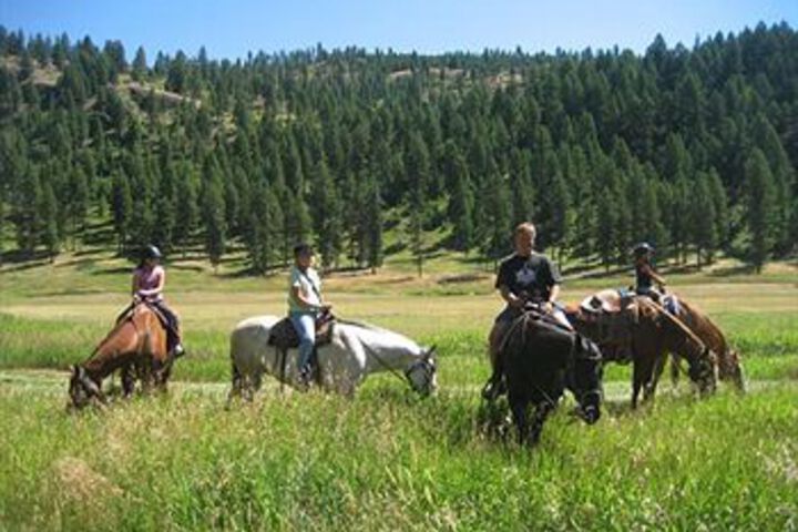 Property Grounds 16 of 20