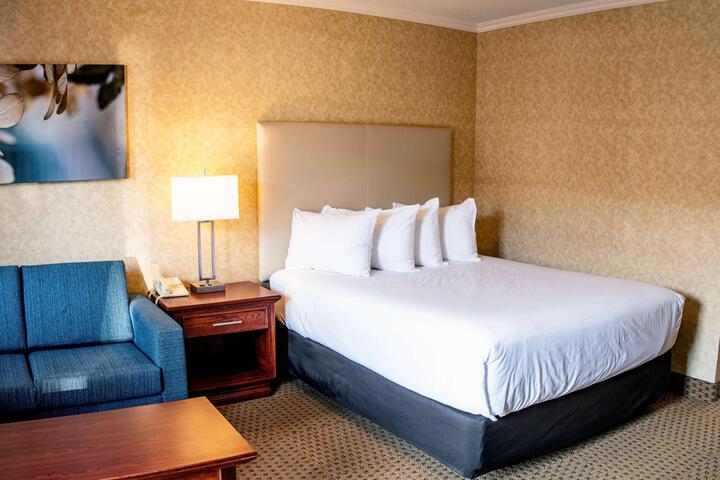 1 Queen Bed (16 of 32)