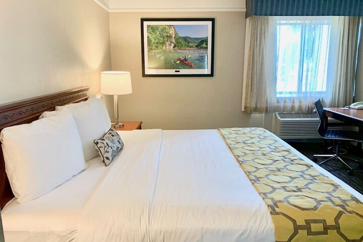 1 King Bed (12 of 15)