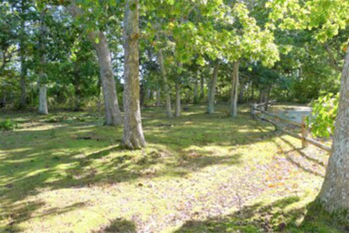 Property Grounds 14 of 26