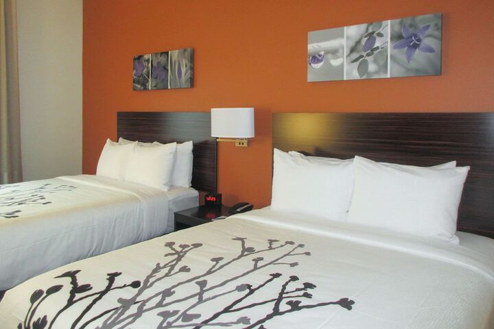 2 Queen Beds (4 of 11)