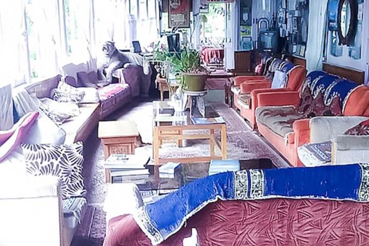 Room 5 of 37