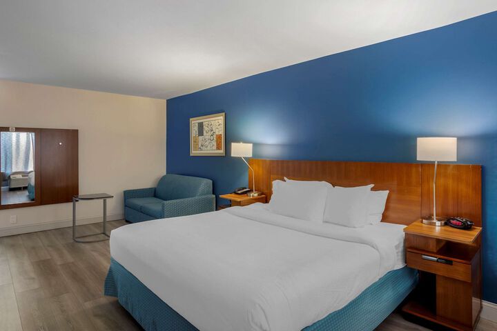 1 King Bed (6 of 22)