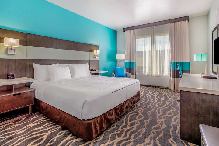 1 King Bed Mobility Hearing Accessible Room Roll in Shower (10 of 13)
