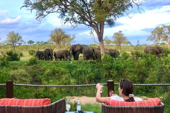Game viewing