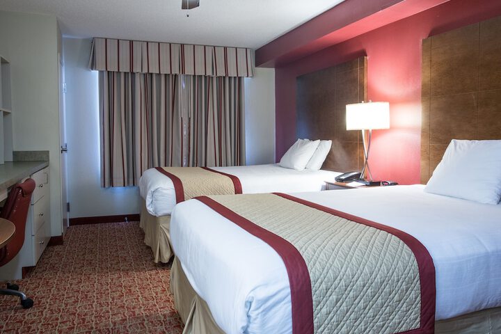 1 King Bed Suite (1 of 8)