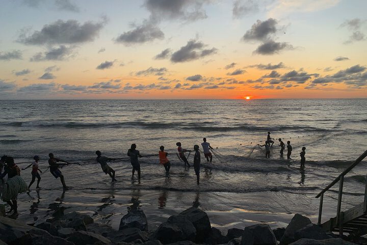 Beach 83 of 100