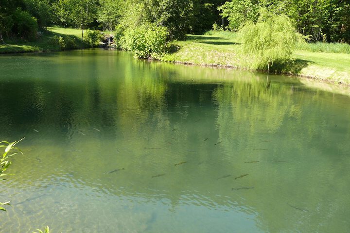 Hotel View 290 of 311