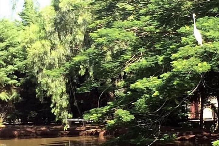 Lake