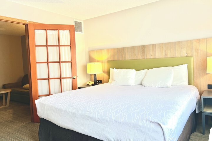 1 King Bed (6 of 15)