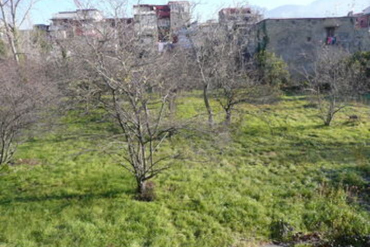 Property Grounds 65 of 79