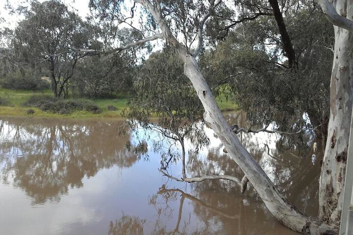 Property Grounds 18 of 26
