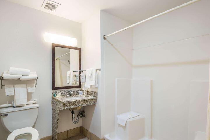 1 King Bed Accessible (9 of 23)