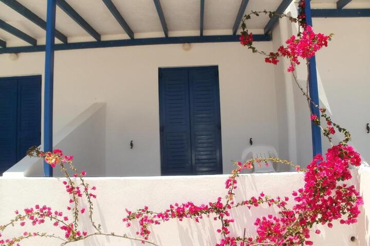 General 12 of 15