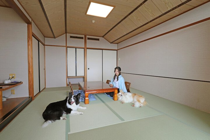 Room 9 of 71