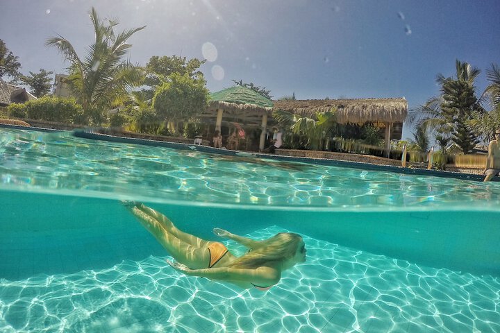 Hotel Pool