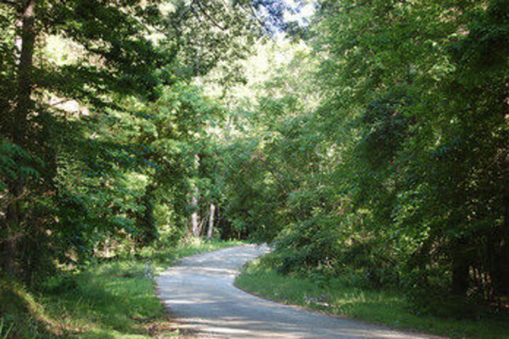 Property Grounds 45 of 46