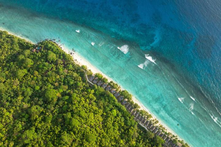 Niva Labriz Seychelles