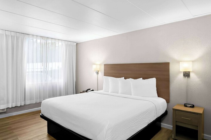 1 King Bed (5 of 8)