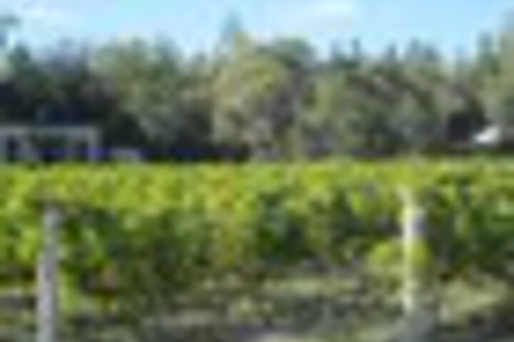 Property Grounds 26 of 39