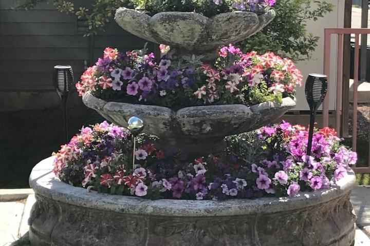 Property Grounds 33 of 39