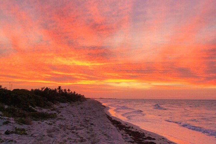 Beach 31 of 46