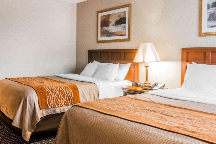2 Queen Beds (6 of 15)