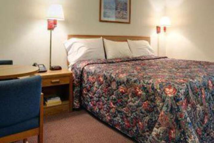 1 King Bed