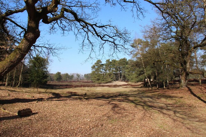 Property Grounds 38 of 53