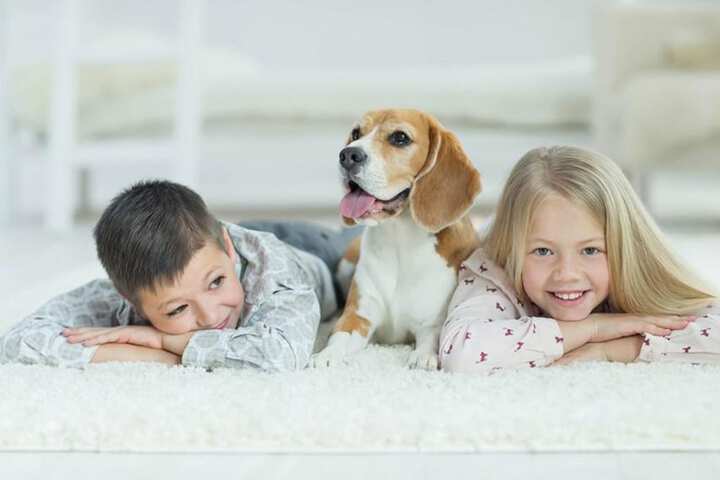 Pet Friendly 10 of 17