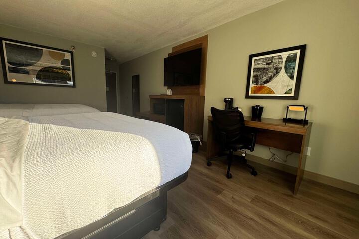 1 King Bed Larger Room Executive Room Sofa Bed Chair with Ottoman Microwave and Refrigerator Full Breakfast (17 of 18)