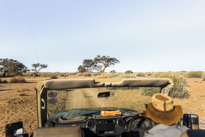 Safari