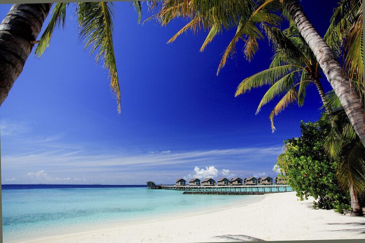 Beach 202 of 259