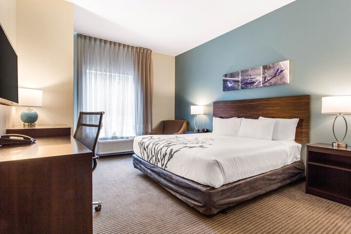 1 King Bed (6 of 22)