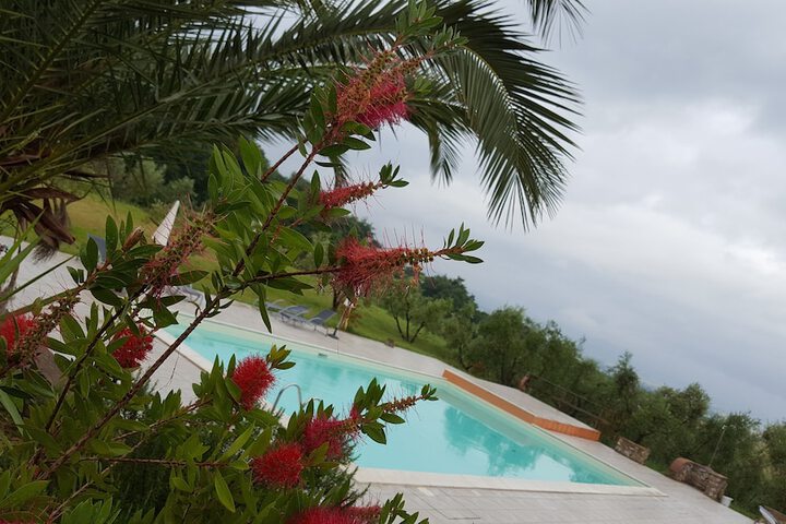 Pool 12 of 53