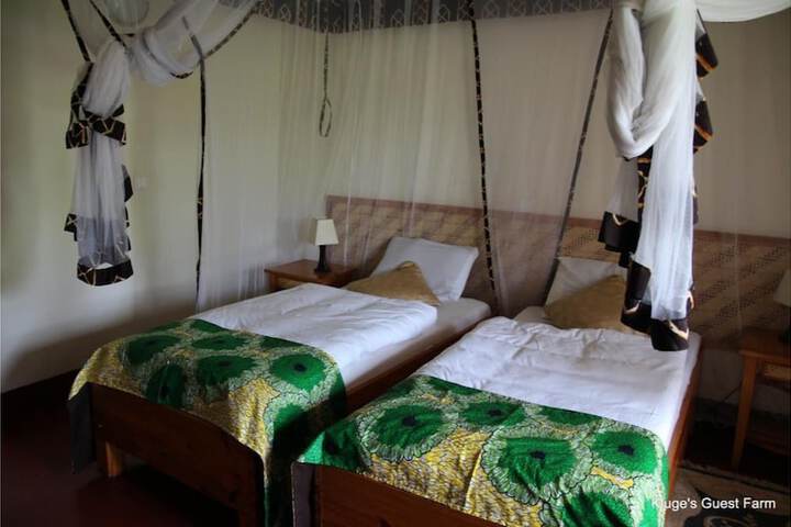 Room 3 of 47