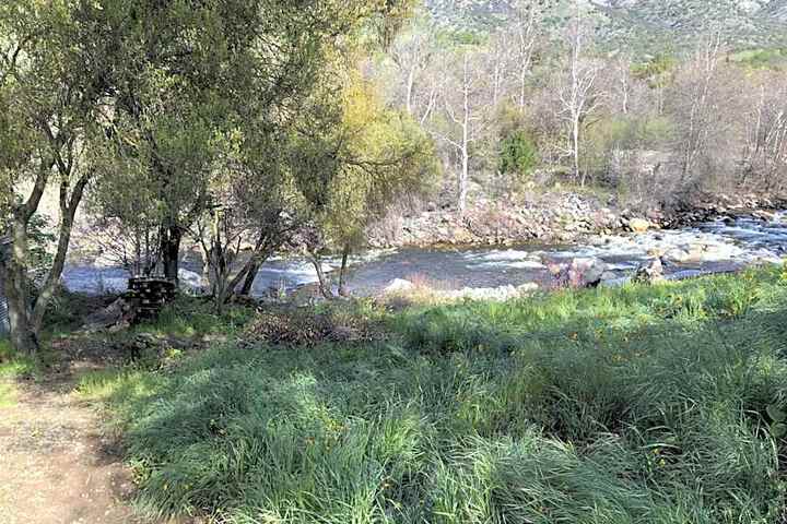 Photo 43