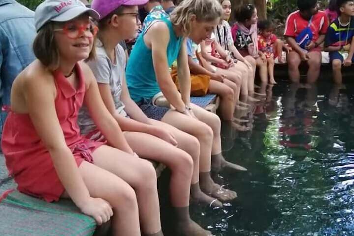 Pools & Facilities