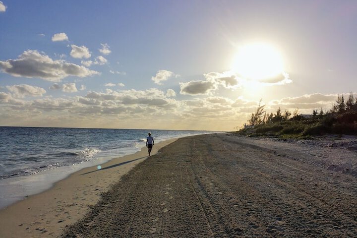 Beach 49 of 56