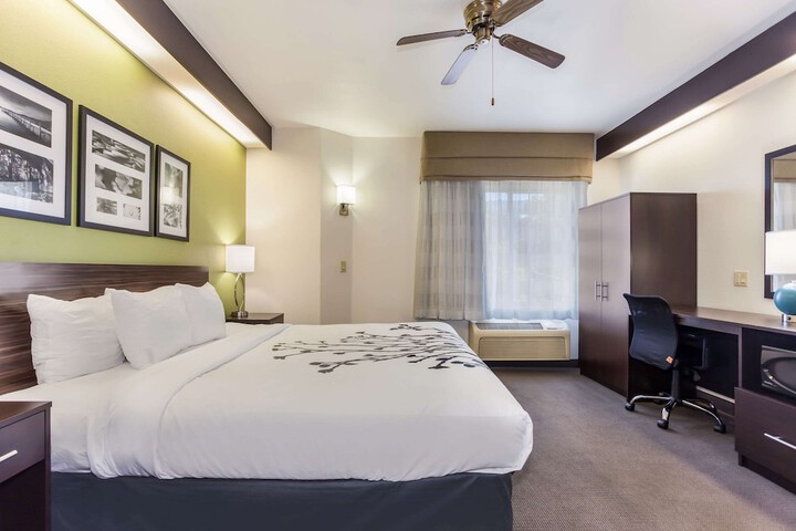 1 King Bed (10 of 11)
