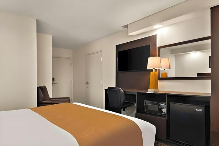 Suite Room
