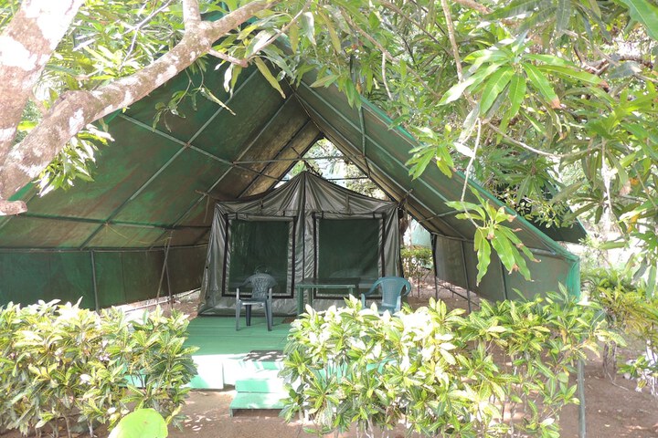 Room 5 of 55