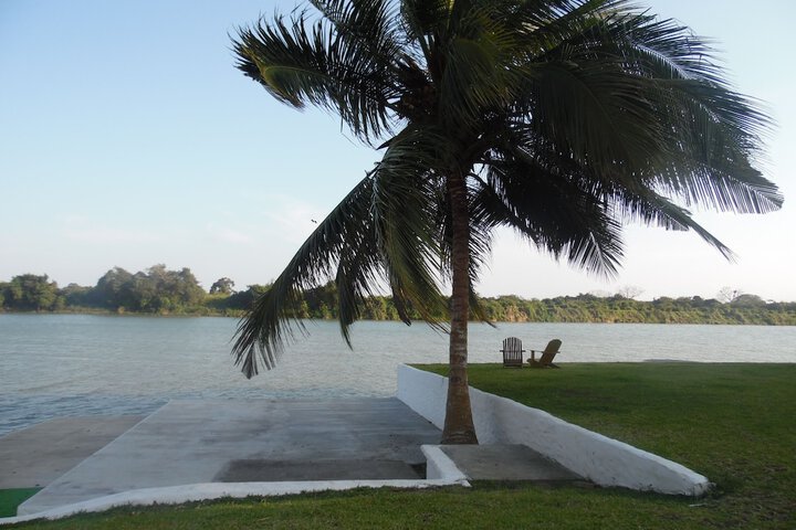 Property Grounds 54 of 56